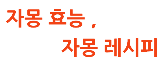자몽 효능과 저속 노화를 위한 건강 레시피
